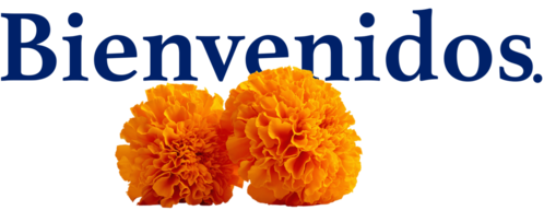 Bienvenidos